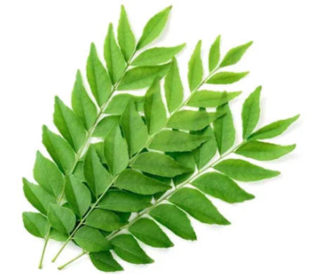 Curry Leaf